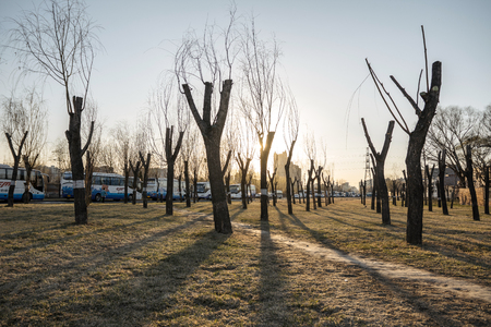 barrenのeditorial素材