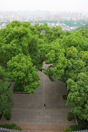 Aerial landscape view of a parkの写真素材