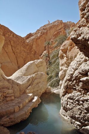 Chebika belongs to the collection of unlikely desert oases of the mountains north of the great Tunisian chotts.の写真素材