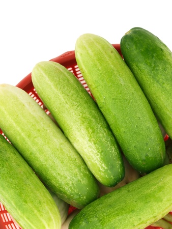 Fresh organic cucumber on white background の写真素材