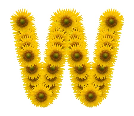 alphabet W, sunflower isolated on white backgroundの写真素材