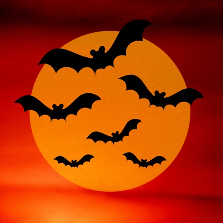 Halloween night with bat and full moon on red backgroundの写真素材