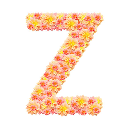 Z,flower alphabet isolated on white