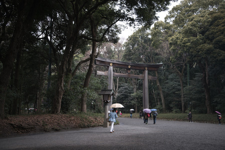 TOKYO, JAPAN - March 01: Meiji-jingu in Tokyo, Japan on March 01, 2015. The shrine officially designated one of Kanpei-taisha, the 1st rank of government supported shrinesのeditorial素材
