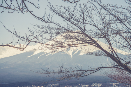 Mount Fuji view from Red pagoda in japanの写真素材
