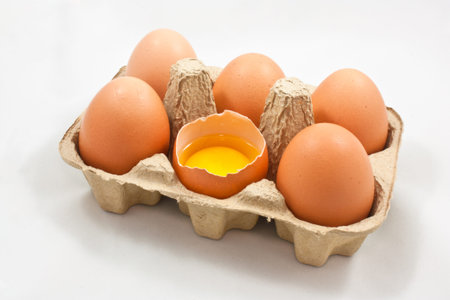 egg