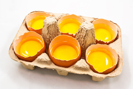 egg