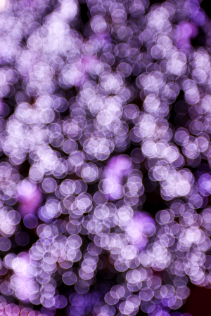 Purple Glitterの写真素材