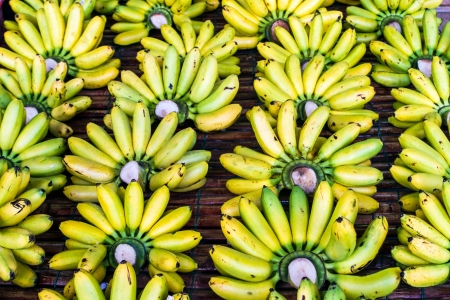 Pisang Mas banana or Musa  AA group   Kluai Khai  banana in Thailand  の写真素材