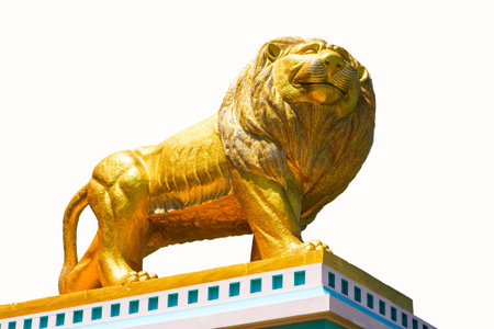 Golden Lionの写真素材