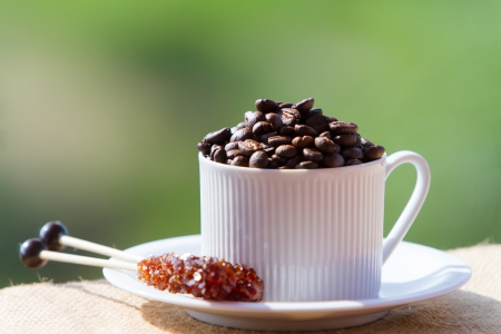 Coffee beans in coffee cup の写真素材