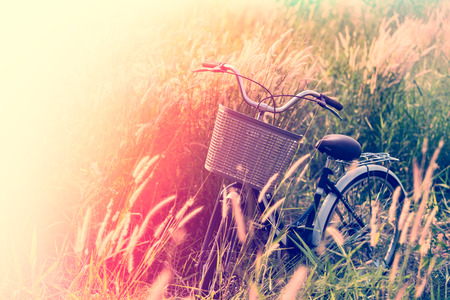Vintage Bicycle in Summer Meadow made with color Vintage Tone,Filtered effectの写真素材
