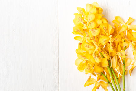 Yellow orchid with polka dots placed on white