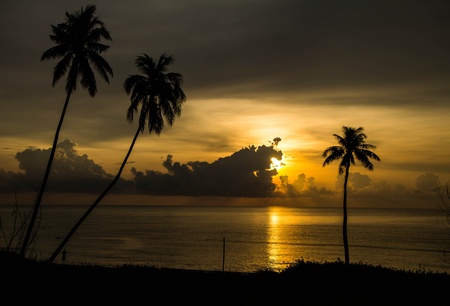 Sunrise at the beachの写真素材