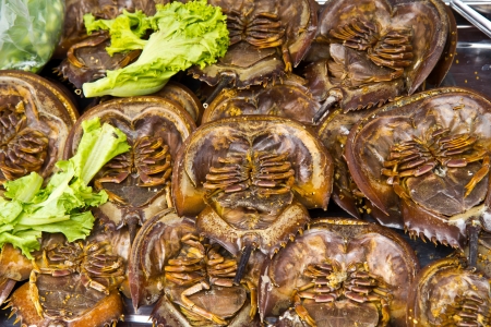 Horseshoe crabの写真素材