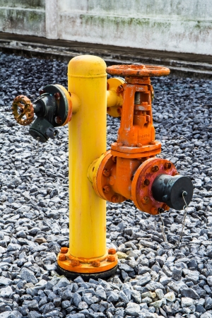 fire hydrantの写真素材