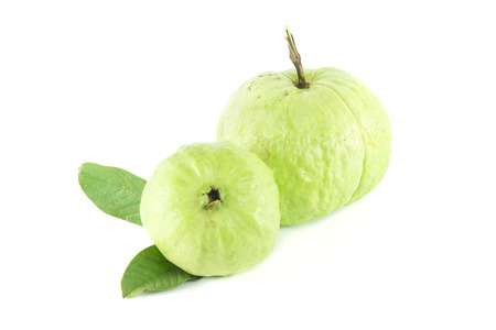 Guava (Psidium guajava Linn.)  with leaf on white backgroundの写真素材
