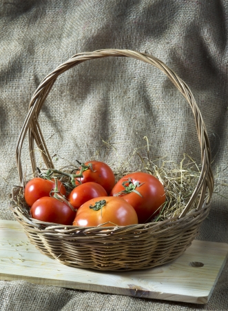 still life with close up image of fresh tomatoes on straw in basketの写真素材