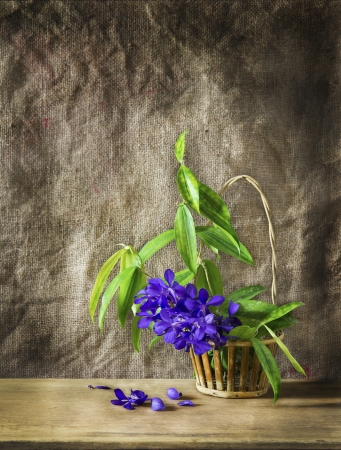 still life art with  flower in basket on wooden tableの写真素材