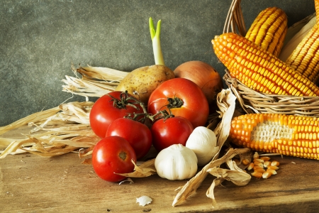 Still Life with pumpkin,corn,tomatoes, garlic, onions and potato in harvestの写真素材