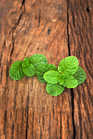 Fresh mint close up on grunge wooden の写真素材