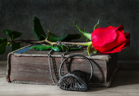 red rose on a black backgroundの写真素材