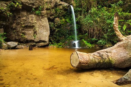 Nature waterfall and tree with travelの写真素材