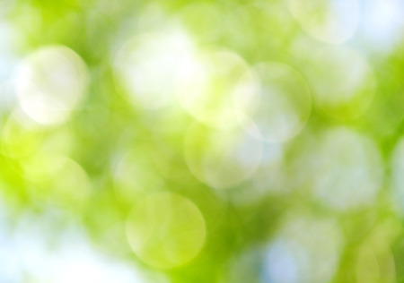 bokeh of  nature backgroundの写真素材
