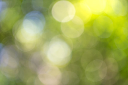 bokeh of  nature backgroundの写真素材