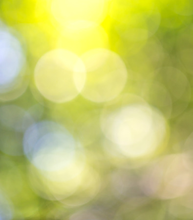 bokeh of  nature backgroundの写真素材
