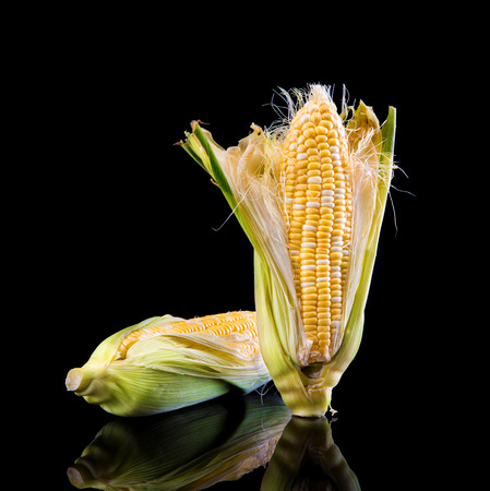 sweet corn isolate on blackの写真素材