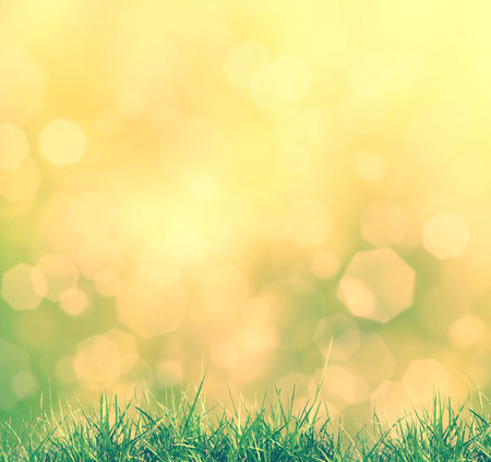 New Sunny abstract green grass field nature background vintage styleの写真素材
