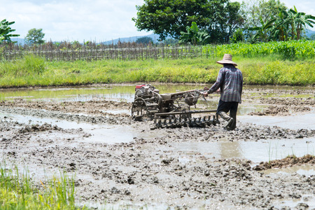 Farmer with tractor in fields , Agriculture of  Asiaの写真素材