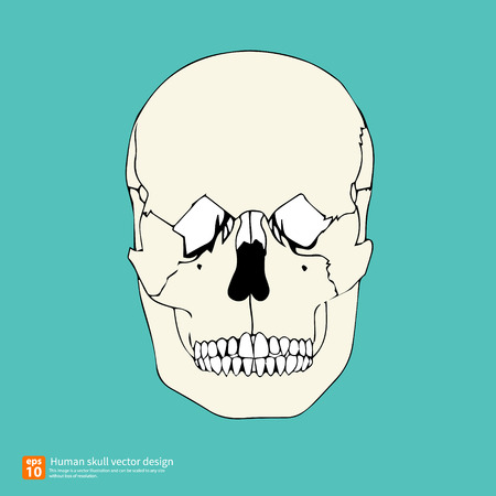 New human skull vector designのイラスト素材