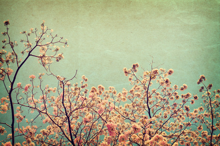 nature of vintage tree flower in summer , paper art textureの写真素材