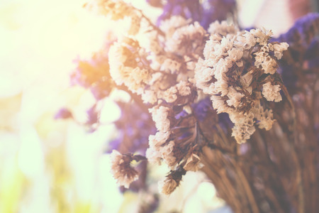 Vintage dry flowers - decoration in coffee shop  . soft focus technicの写真素材