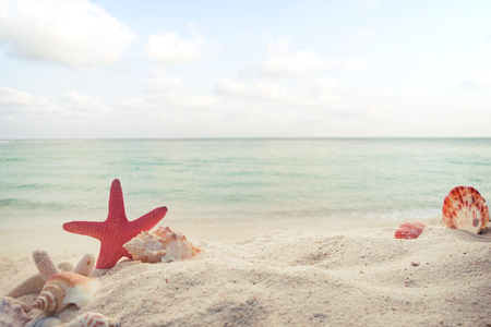 Concept of summertime on tropical beach. Seaside summer beach with starfish, shells, coral on sandbar and blur sea background. vintage color tone.の写真素材