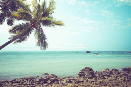 Vintage tropical beach (seascape) with palm tree in summer. Landscape of coast. vintage effect color tone.の写真素材