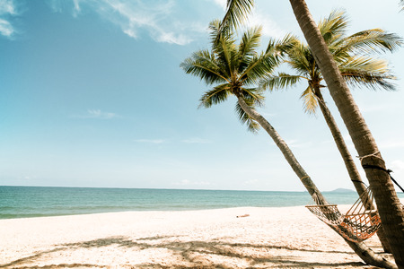 Landscape of coconut palm tree on tropical beach in summer. Summer background concept. vintage color toneの写真素材