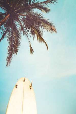 Surf board with palm tree in summer season. vintage color toneの写真素材