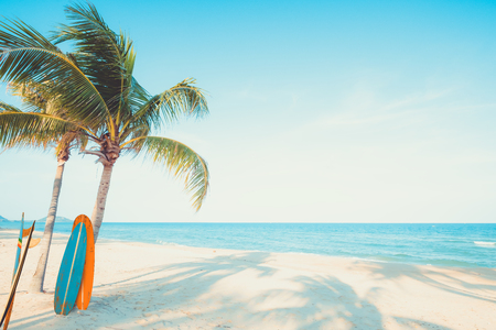 Vintage surf board with palm tree on tropical beach in summer. vintage color toneの写真素材