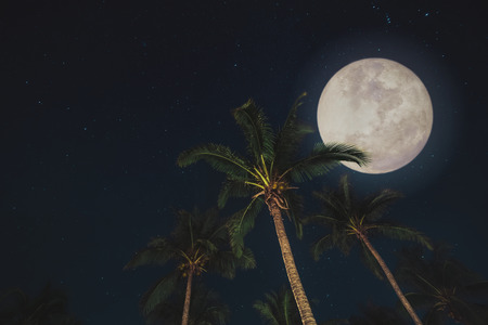 Beautiful full moon over tropical palm forest. vintage filter effectの写真素材