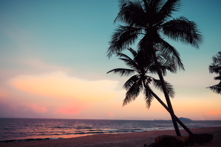 Silhouette of tropical beach during sunset twilight. seascape of summer beach and palm tree at sunset. vintage color toneの写真素材
