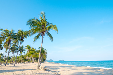 Beautiful landscape of coconut palm tree on tropical beach (seascape) in summer.の写真素材
