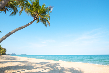 Beautiful landscape of coconut palm tree on tropical beach (seascape) in summer.の写真素材