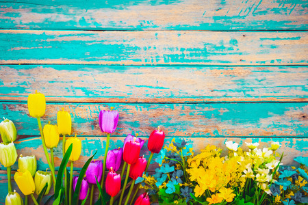 Tulip blossom flowers on vintage wooden background, border  frame design. vintage color tone - concept flower of spring or summer backgroundの写真素材