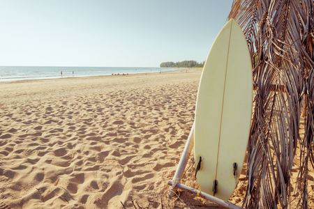 Surfboard on sand tropical beach with seascape calm sea and skyの写真素材