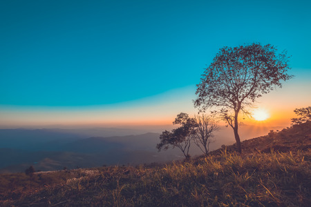 vintage landscape mountain at sunset. nature backgroundの写真素材