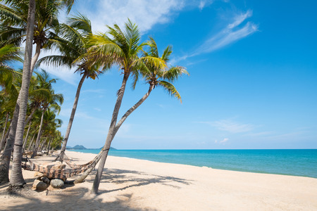 hammock hang on palm tree. Landscape of summer season in tropical beach.の写真素材