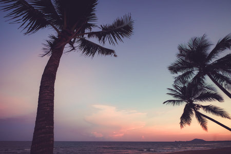 Silhouette of tropical beach during sunset twilight. seascape of summer beach and palm tree at sunset. vintage color toneの写真素材
